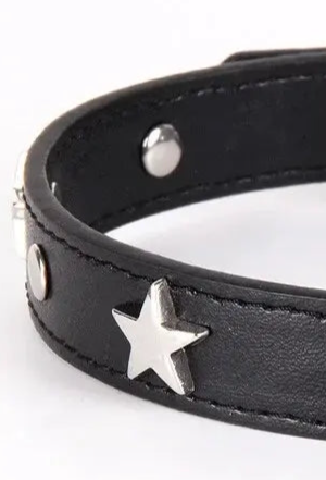 Leather dog collar with stars