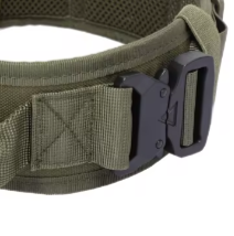 Army green dog collar