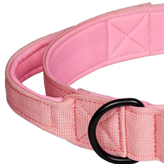 Pale pink dog collar