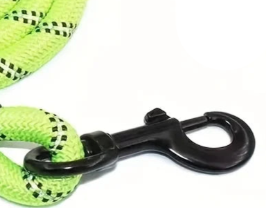 Green rope dog lead