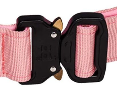 Lockable dog collar