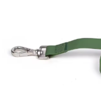 Dark green dog collar and lead