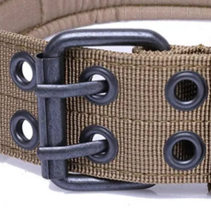 3/4 nylon padded dog collar