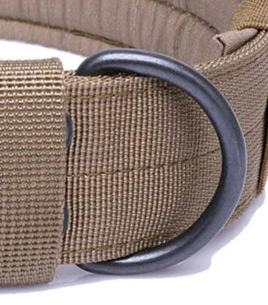 3/4 nylon padded dog collar