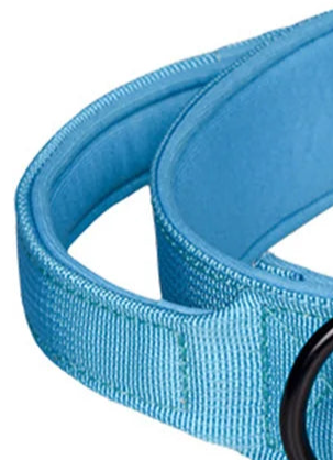 Heavy duty dog collar with handle