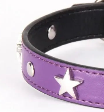 Purple leather dog collar