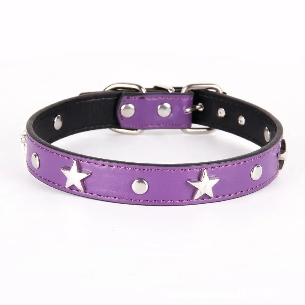 Purple leather dog collar