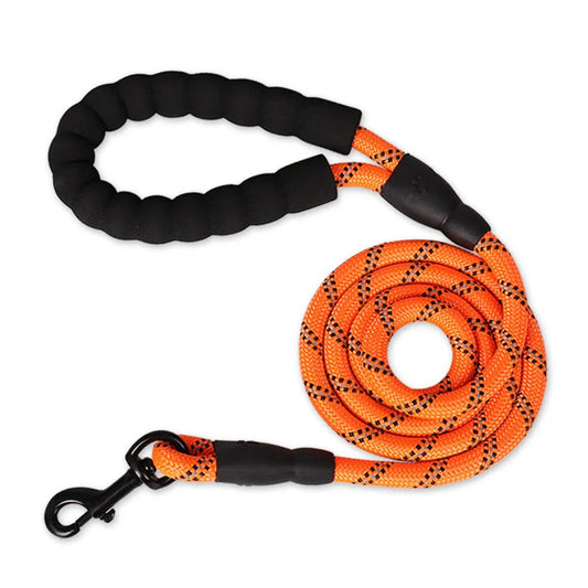 Orange rope dog lead