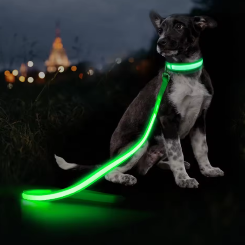 Reflective dog leash and collar