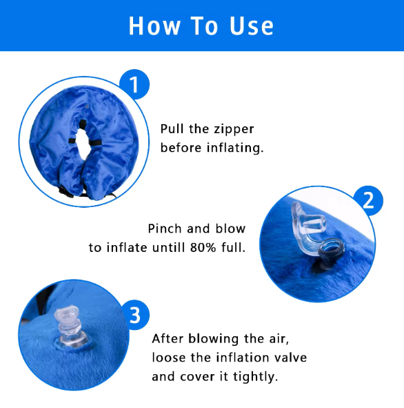 Blue inflatable dog rehab collar