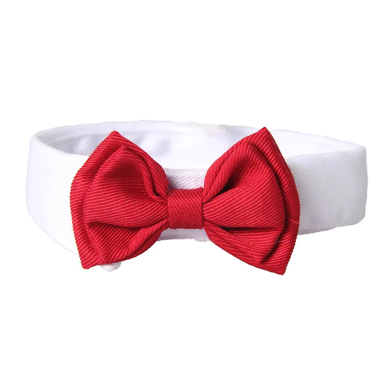 Red bow tie dog collar