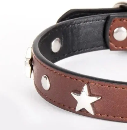 Vintage leather dog collar