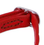 Red martingale dog collar