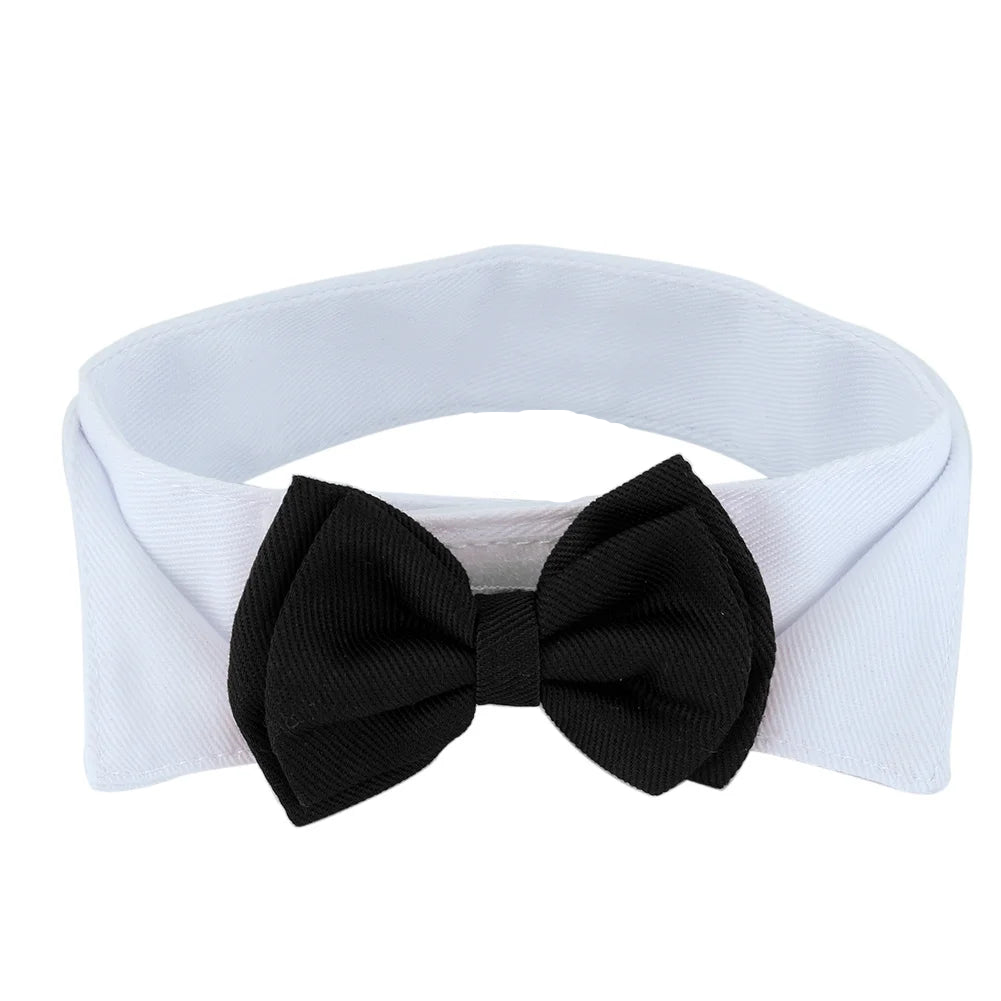 Bow tie tuxedo dog collar