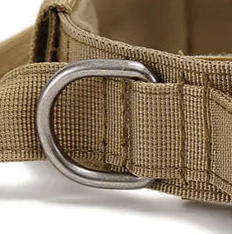 Thick dog collar with handle