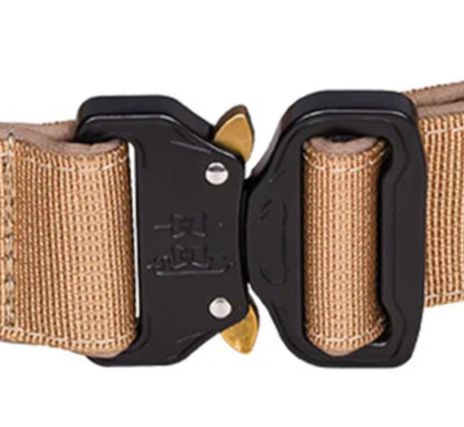 Nylon dog collar with handle