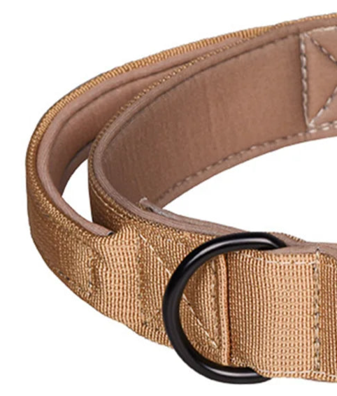 Nylon dog collar with handle