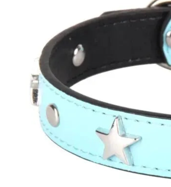 Light blue leather dog collar