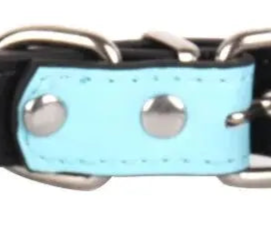 Light blue leather dog collar