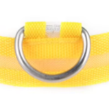 Yellow puppy collar