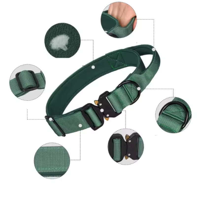 Green tactical dog collar