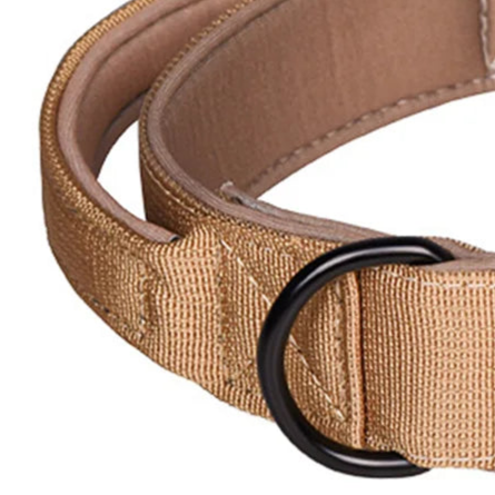 Easy walk dog collar