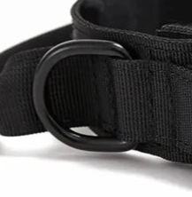 Thick black dog collar