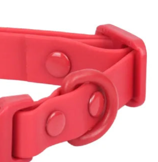 Small red dog collar