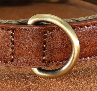 Leather clip dog collar