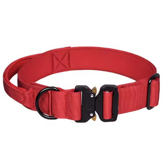 Red tactical dog collar