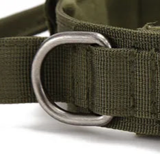 Cushioned dog collar