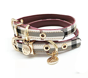 Designer small dog collar