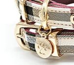 Designer small dog collar