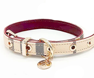 Small dog leash and collar