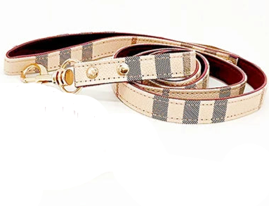 Small dog leash and collar