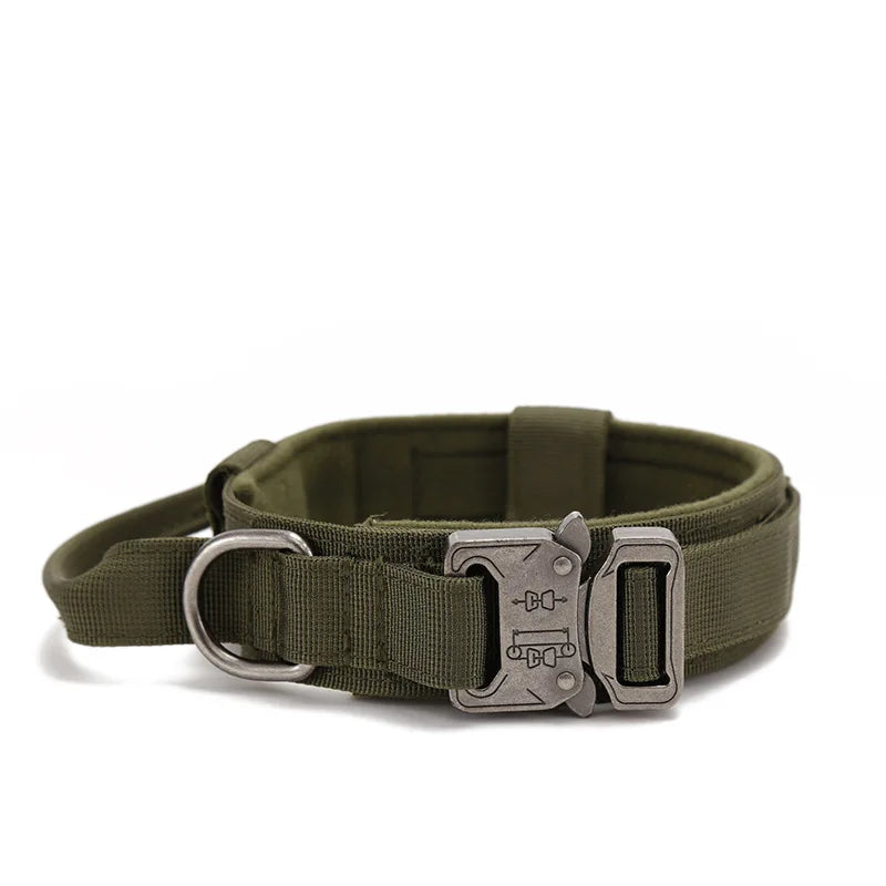 Cushioned dog collar