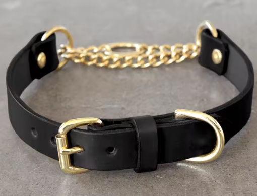 Martingale collar with buckle