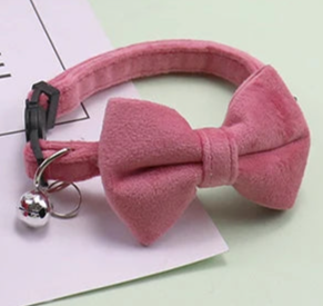 Pink bow tie collar