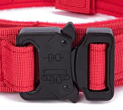 Red padded dog collar