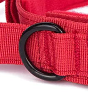 Red padded dog collar