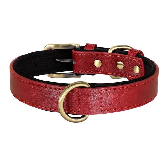 Leather metal dog collar with buckle