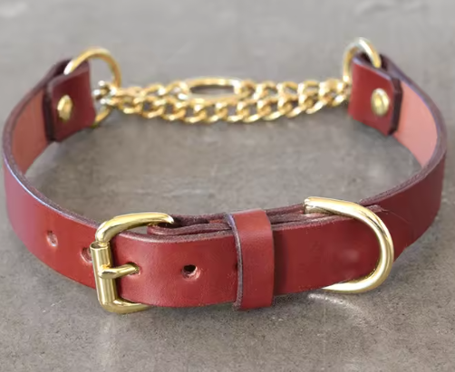 Padded leather martingale dog collar