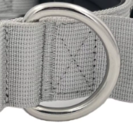 Grey dog collar