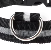 Nylon puppy collar