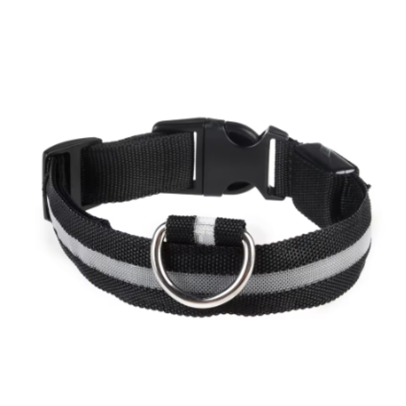 Nylon puppy collar