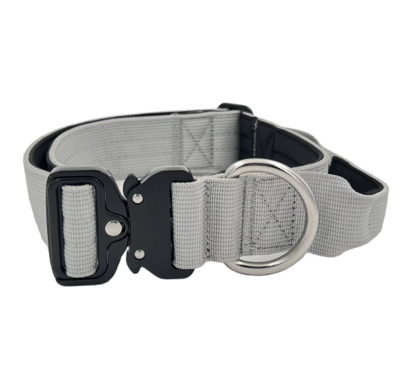 Grey dog collar