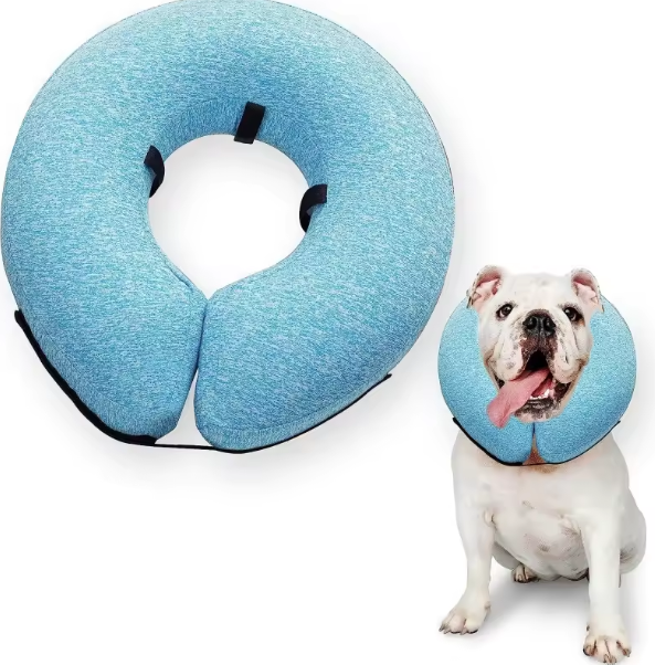 Medium inflatable dog collar