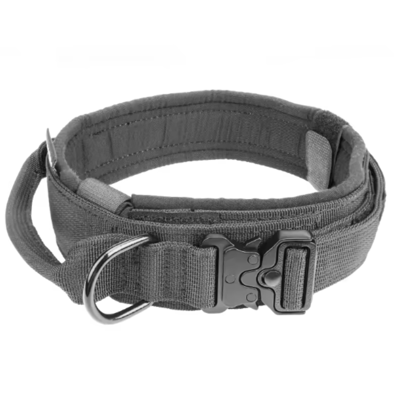 Large tactical dog collar