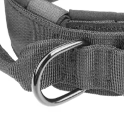 Large tactical dog collar