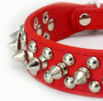 Pitbull puppy collar